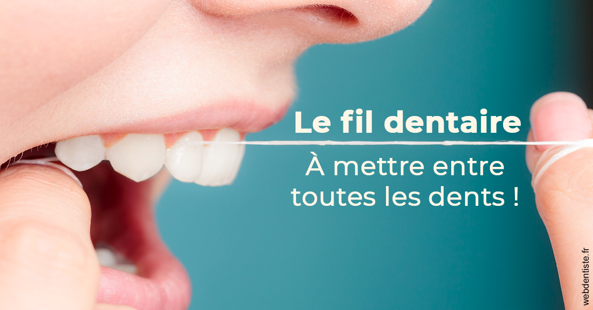 https://dr-laquille-sophie.chirurgiens-dentistes.fr/Le fil dentaire 2