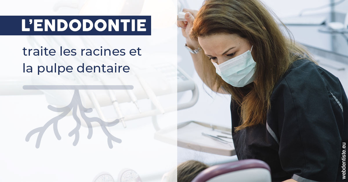 https://dr-laquille-sophie.chirurgiens-dentistes.fr/L'endodontie 1
