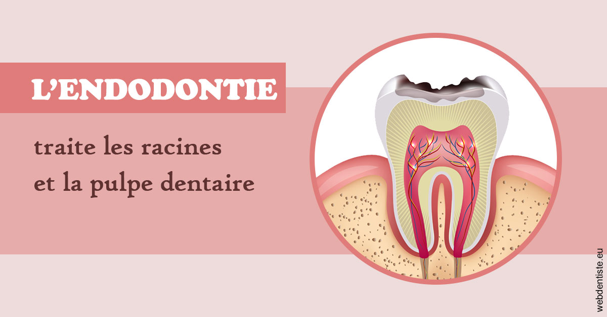 https://dr-laquille-sophie.chirurgiens-dentistes.fr/L'endodontie 2