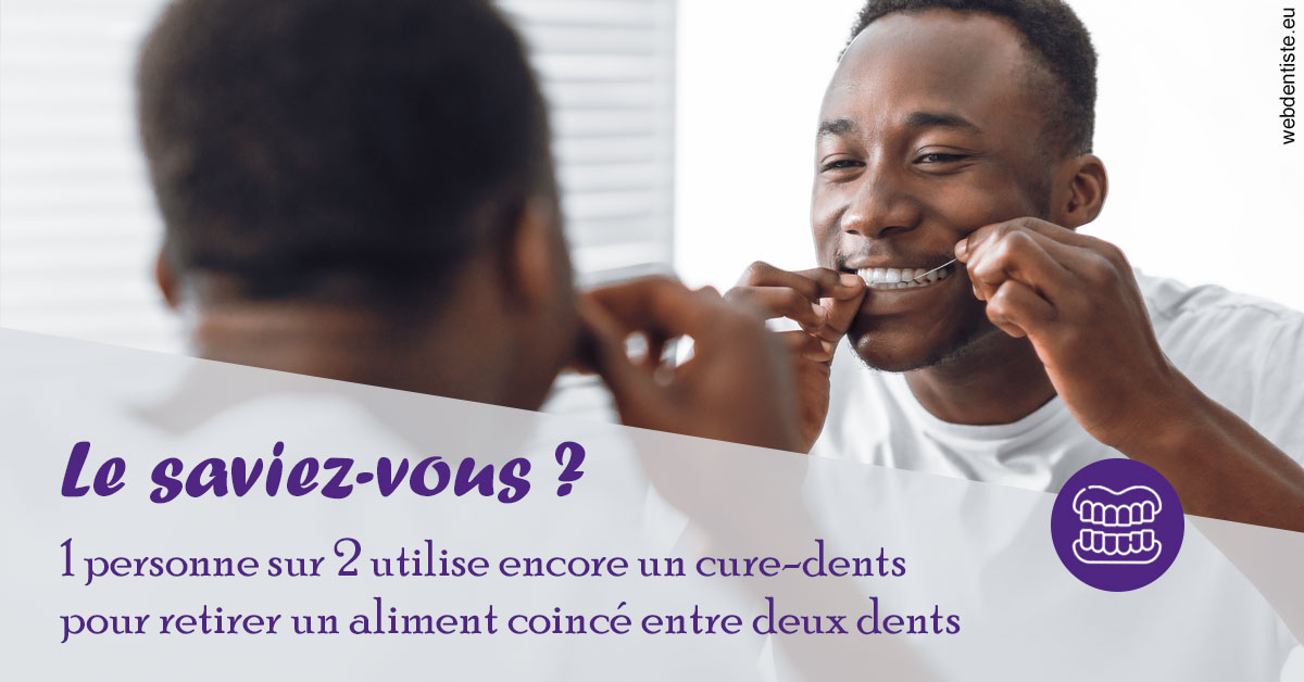 https://dr-laquille-sophie.chirurgiens-dentistes.fr/Cure-dents 2