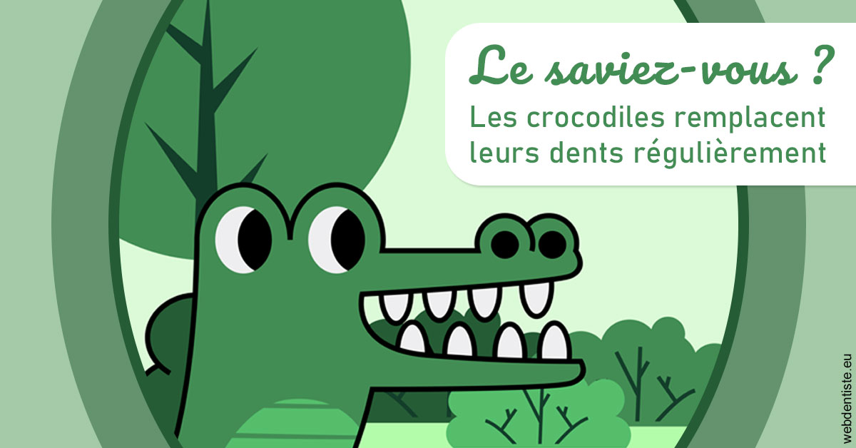 https://dr-laquille-sophie.chirurgiens-dentistes.fr/Crocodiles 2