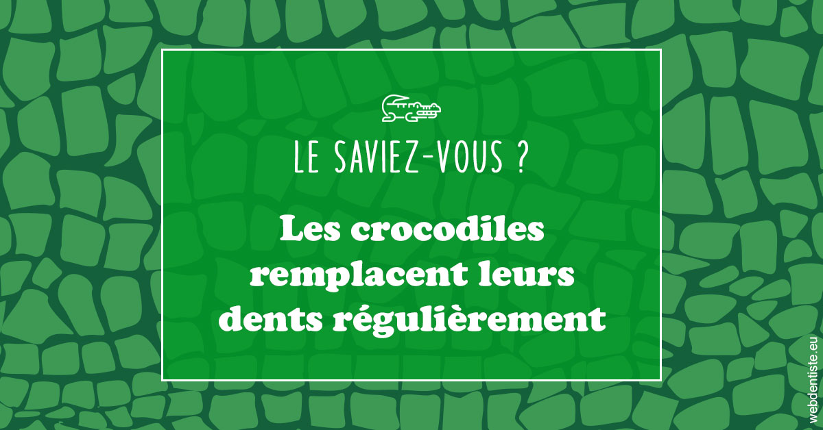 https://dr-laquille-sophie.chirurgiens-dentistes.fr/Crocodiles 1